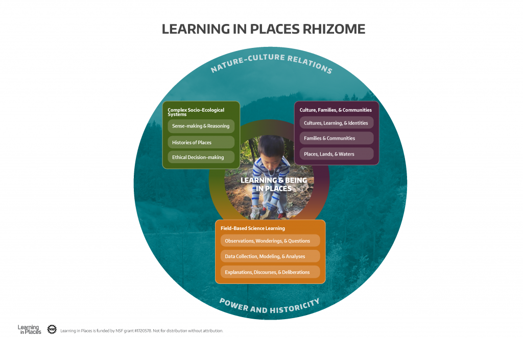 FBSS-storyline-and-rhizome-REV070720_Page_1-1024x663